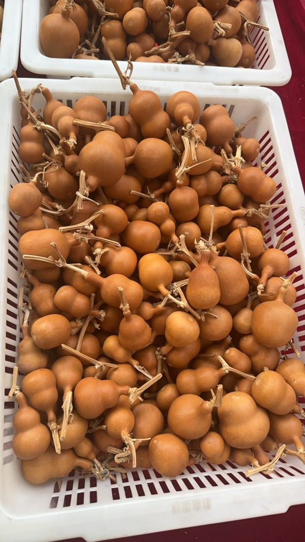 质优量大,质地细腻,常年供应 素葫芦(未加工) 2