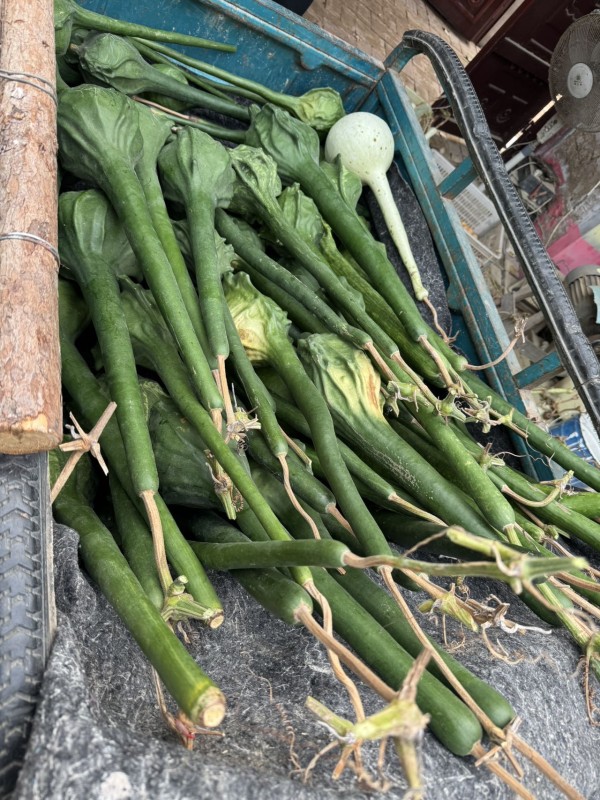 整体周正,质地细腻,常年供应素葫芦(未加工)